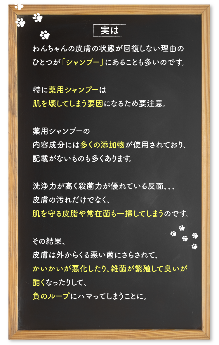 悪化の原因の一つにシャンプーも