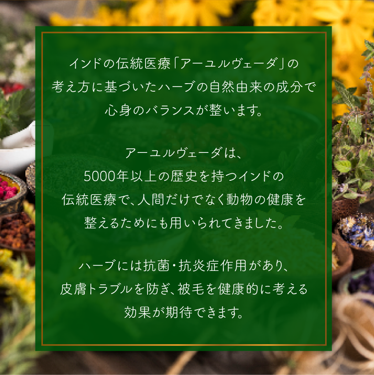 ハーブパックは